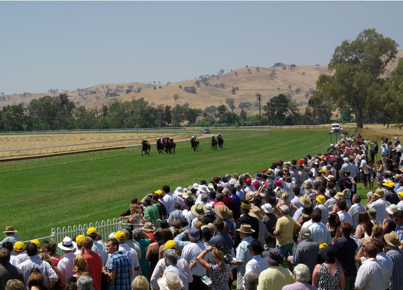 crowd-watching-race